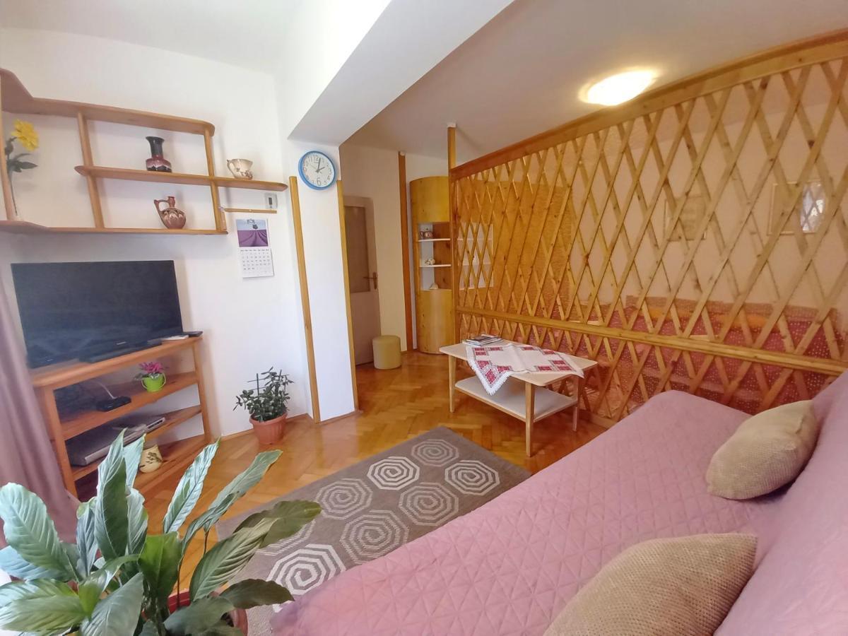 Holiday Apartments Ruzica, ペシュチャーナ・ウヴァラ エクステリア 写真